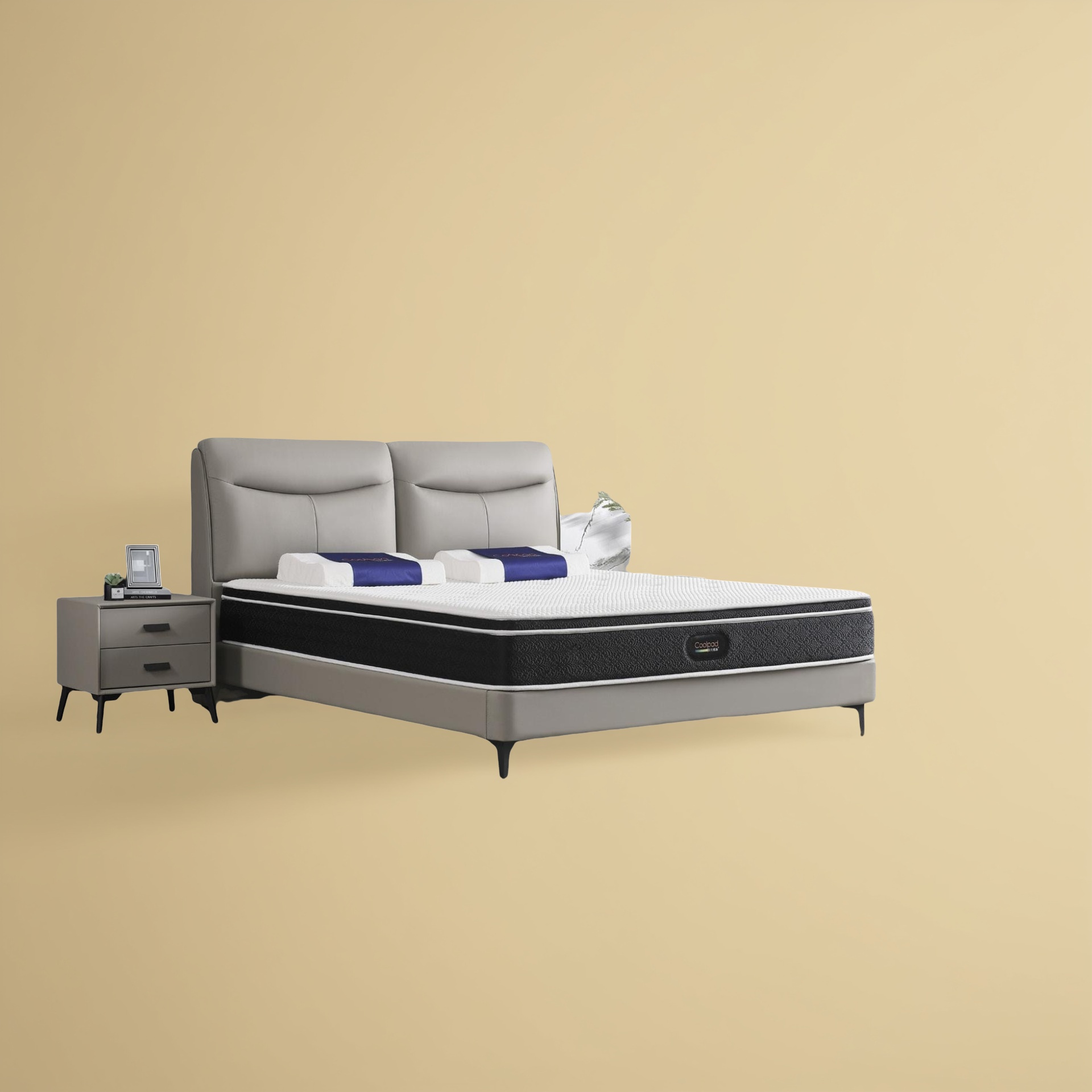 Bett Lancaster
